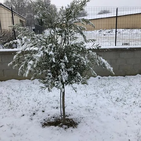 Tatil Evi Malou